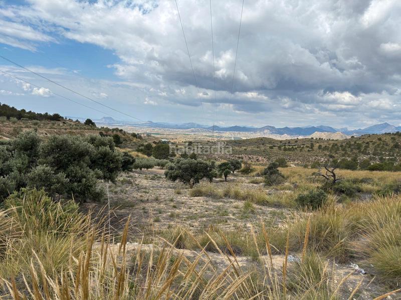 Foto 2ead12be-70c7-4244-b37c-49b3a36e5ebc. Propriété dans Busot