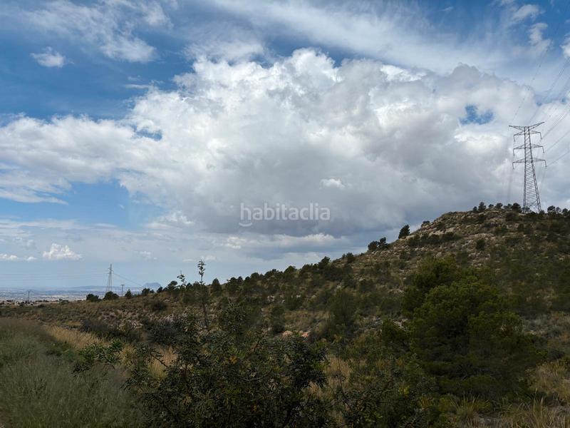 Foto 018bce2d-b092-406f-8275-abd399af559b. Finca rústica en Busot