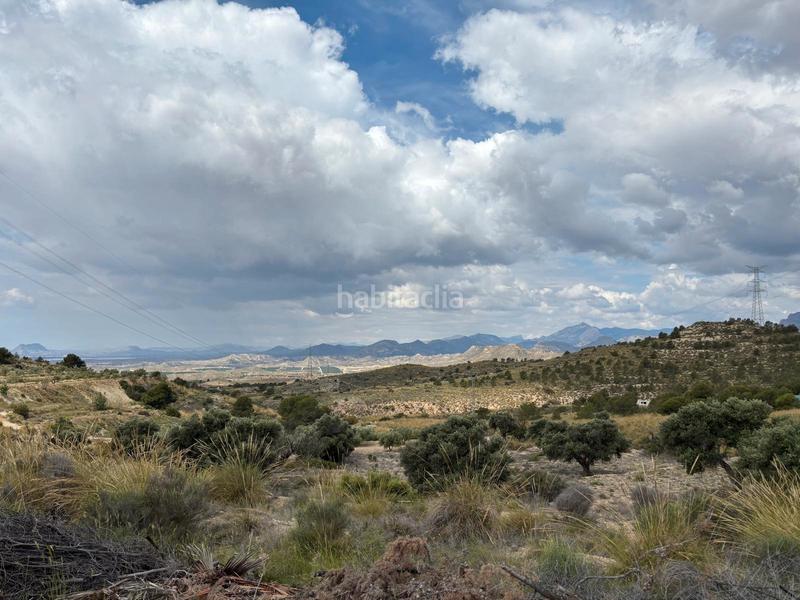 Foto af610ec3-101e-4758-84ff-3e6cdbe89dc8. Finca rústica en Busot