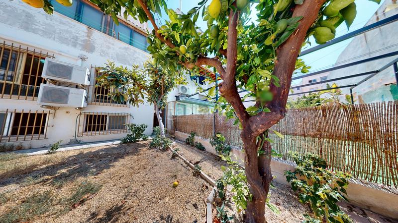 Foto 7cdb4778-b93c-4f7f-8f40-6cbe11b797f9. Piso espectacular bajo con jardin privado en Centro San Juan de Alicante