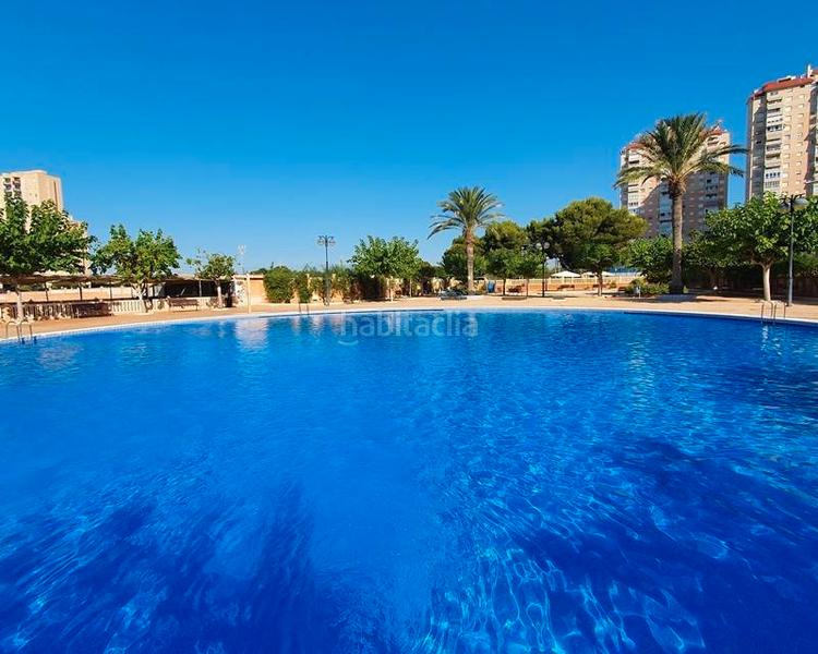 Foto 5a238025-51f4-447b-9f46-651a1fce4e66. Pis amb aparcament piscina a Playa Muchavista Campello (el)