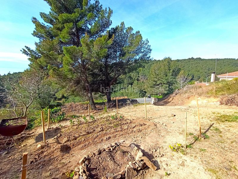Foto a2e73394-d63e-49c0-9b5d-9b04ee11b518. Terreny residencial a Almoster