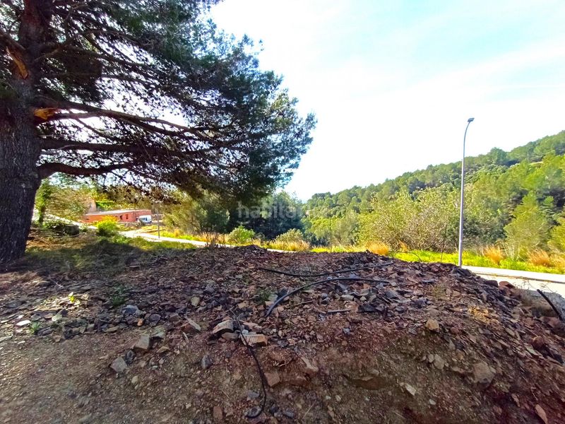 Foto d0d98194-0953-43d0-a6c9-72230ec784ae. Terreny residencial a Almoster