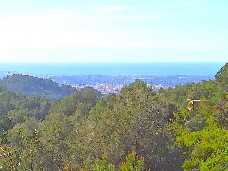 Foto f413f708-f256-4b76-82cd-e0a6fb7627a7. Terreny residencial a Almoster