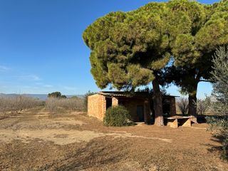 Wohngrundstück in Constantí. Finca rústica en venta  entorno natural cerca de reus