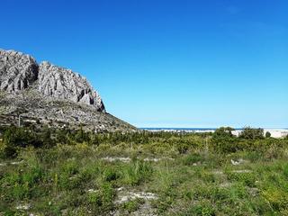 Finca rústica a Ondara. Parcela rústica para la construcción de un chalet con vistas al