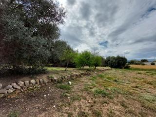 Terreny residencial a Ondara. Parcela urbana en zona céntrica en ondara. costa blanca
