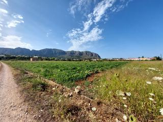 Terreny residencial a Beniarbeig. Parcela en suelo urbanizable en beniarbeig. costa blanca