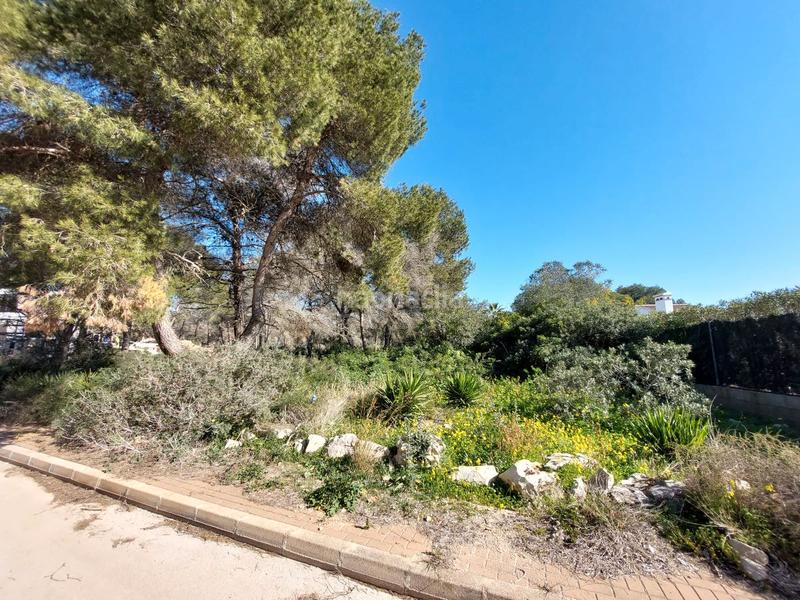 Foto 3ffcc221-098c-43b5-8c8f-092d69f5477d. Terreny residencial a La Granadella - Costa Nova Xàbia