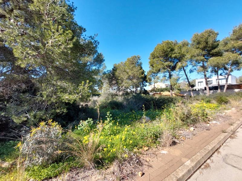 Foto 55bf8401-2412-4ace-b3c7-7b80da9a065d. Terreny residencial a La Granadella - Costa Nova Xàbia