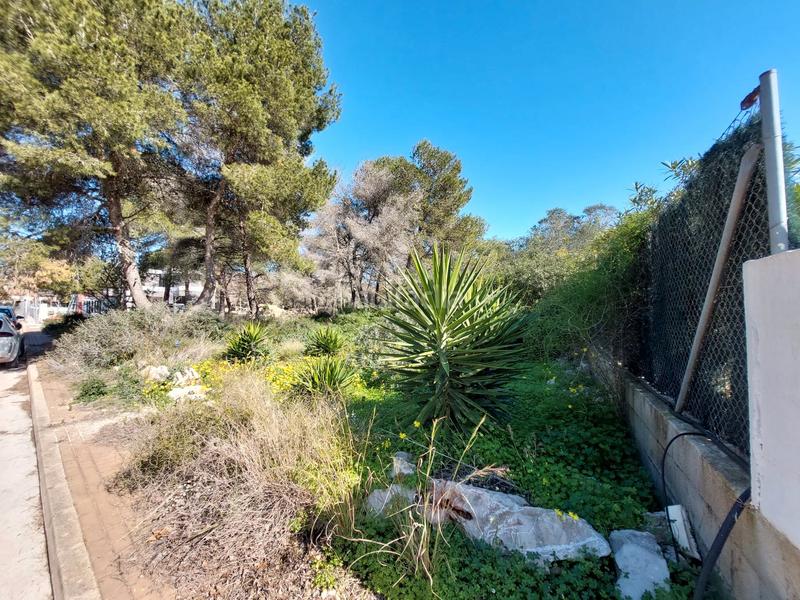 Foto 7d128a10-940d-4824-8d63-1a219c3550a0. Terreny residencial a La Granadella - Costa Nova Xàbia