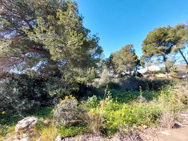 Foto aaf16968-4117-40d6-885b-7219b043c390. Terreny residencial a La Granadella - Costa Nova Xàbia