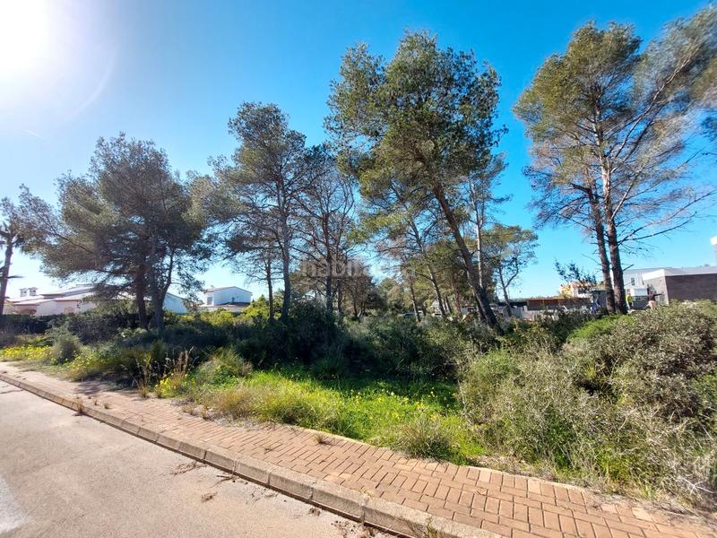 Foto cfc6d95b-d2ba-42ae-bb1e-dd9d29575712. Terreny residencial a La Granadella - Costa Nova Xàbia