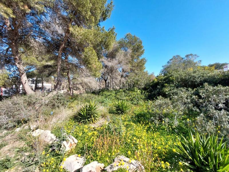 Foto dca2a582-9a7f-4aff-8318-852e97367ea7. Terreny residencial a La Granadella - Costa Nova Xàbia