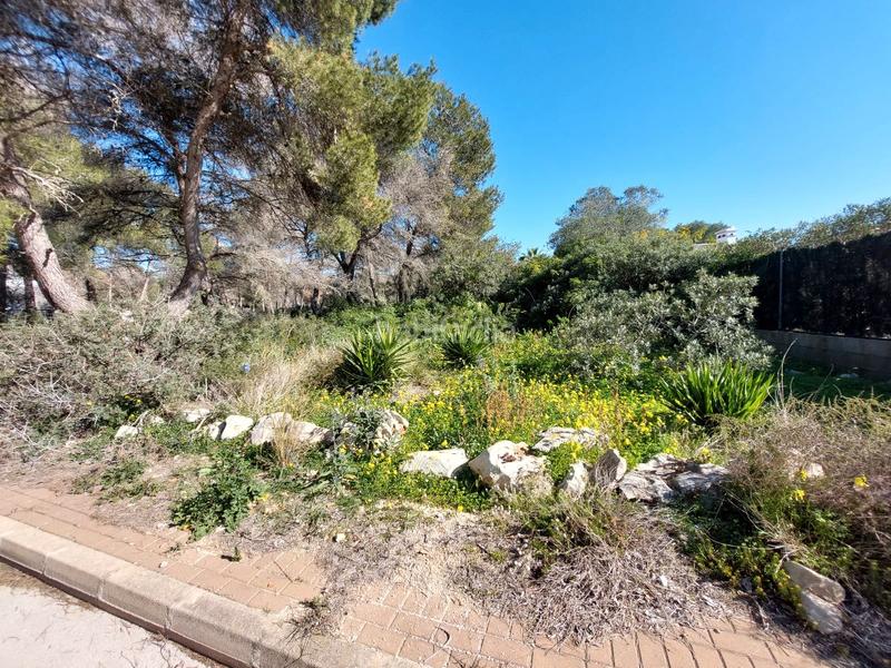 Foto f28ba1c0-dc5b-4efb-86af-1c6ec998e6e7. Terreny residencial a La Granadella - Costa Nova Xàbia