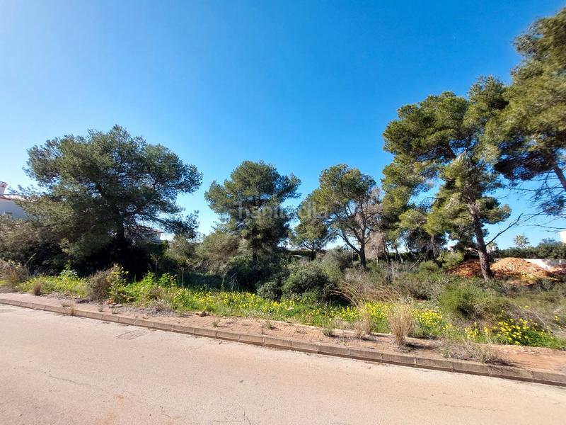 Foto 083ff91d-3e51-43a8-a5c1-5285b547934e. Terreno residenziale in La Granadella - Costa Nova Xàbia