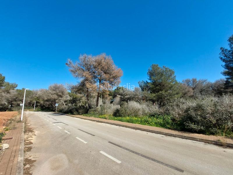Foto 0e037903-398d-45d5-b751-f285421ac995. Terreno residenziale in La Granadella - Costa Nova Xàbia