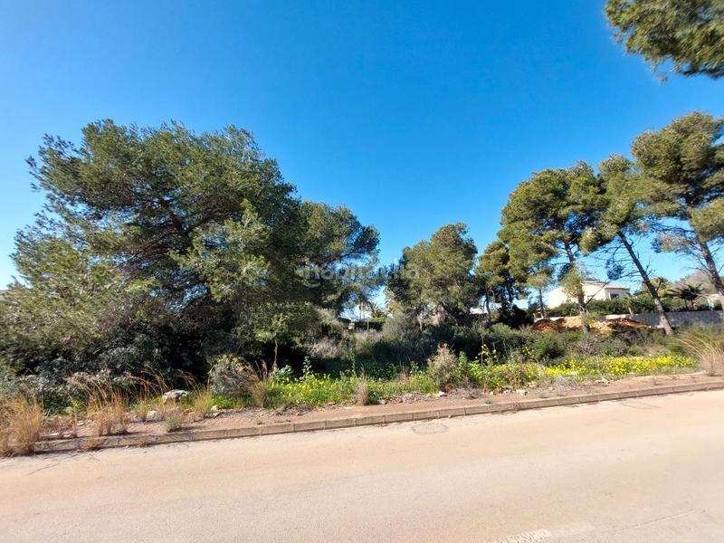 Foto 2a6a871d-f6ae-4031-bde9-33d48a3bfc0a. Terreno residenziale in La Granadella - Costa Nova Xàbia