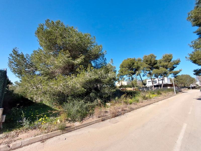 Foto 2bedc206-a2a2-44d3-854e-394c881bf0e9. Terreno residenziale in La Granadella - Costa Nova Xàbia