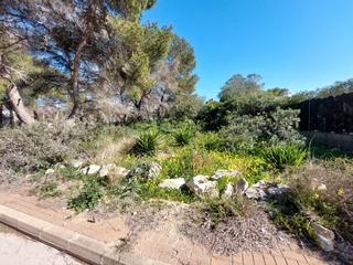 Terreno residencial en La Granadella - Costa Nova