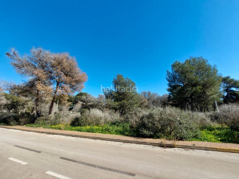 Foto a5878d31-8d63-445f-a9e4-16d8c6d1e2e7. Terreno residenziale in La Granadella - Costa Nova Xàbia