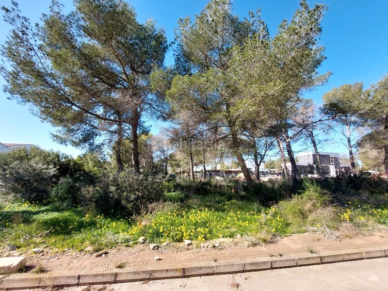 Foto ec8e82b9-3813-4c2a-a8f1-915687f9d351. Terreno residenziale in La Granadella - Costa Nova Xàbia