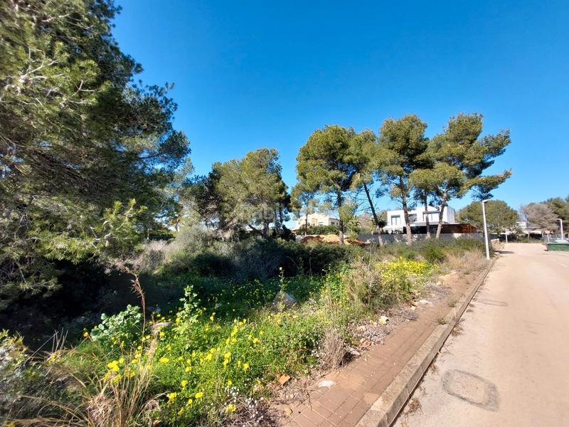 Foto ee5e83f8-0adc-4e61-87a7-1a46a67b0960. Terreno residenziale in La Granadella - Costa Nova Xàbia