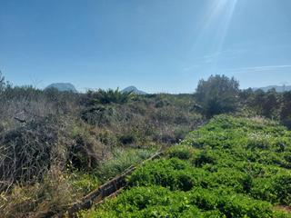 Finca rústica a Beniarbeig. Parcela rústica llana en beniarbeig. costa blanca