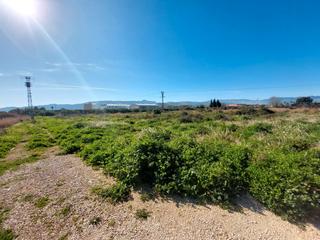 Finca rústica a Beniarbeig. Parcela rústica cerca del pueblo de beniarbeig. costa blanca
