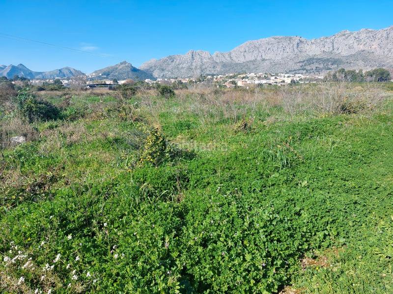 Foto 38bdabe6-4688-4137-8e35-a7d9c186d0a9. Finca rústica 2 parcelas rústicas llanas colindantes . costa blanca en Beniarbeig