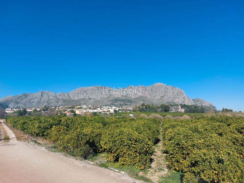 Foto c5e82b69-f0a0-4971-bb58-9d95ec98a8db. Finca rústica 2 parcelas rústicas llanas colindantes . costa blanca en Beniarbeig