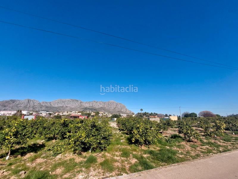 Foto d03272a1-d3be-449c-8e7f-9baa8dbf8560. Finca rústica 2 parcelas rústicas llanas colindantes . costa blanca en Beniarbeig
