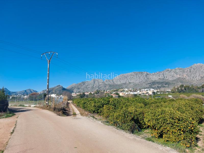 Foto e570dc8f-9bee-4c67-aa0f-0b4d42b0d829. Finca rústica 2 parcelas rústicas llanas colindantes . costa blanca en Beniarbeig