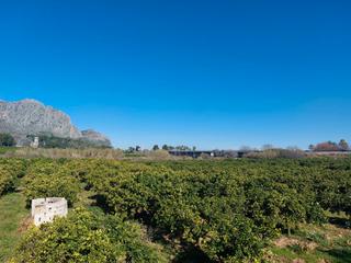 Finca rústica a Beniarbeig. Parcelas agrarias en venta en beniarbeig, alicante - 2965 m².