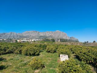 Finca rústica a Beniarbeig. Parcelas agrarias en venta en beniarbeig, alicante - 2965 m².