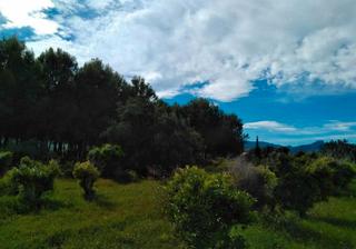 Finca rústica en Beniarbeig. Parcela rústica de 11.100 m2 en la ctra de beniarbeig-benidoleig
