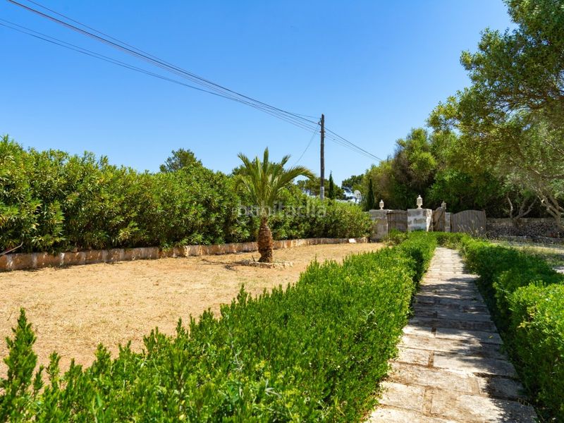 Foto d0676306-c724-4e9b-8656-d7e937fba762. Masia a camí vell de s'ullastrar 47 a Sant Lluís-s´ullestrar-torret Sant Lluís