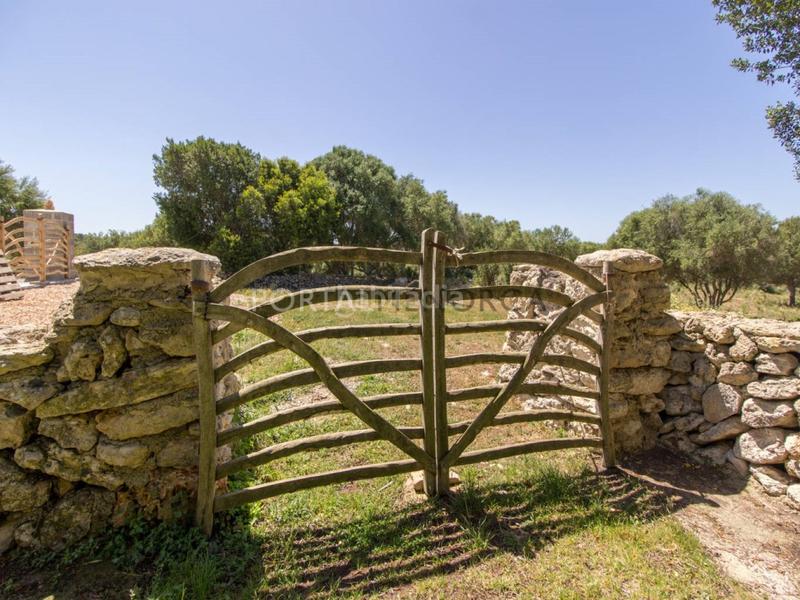 Foto 2215f379-c4cb-4059-9da3-824d7ab8ea10. Mas avec parking dans Alaior poble Alaior