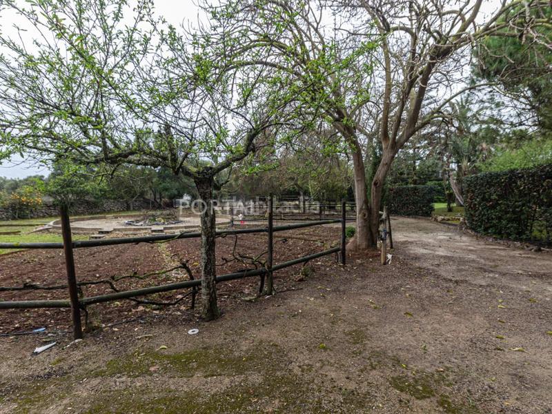 Foto 5976f267-db9c-4340-b07d-a715abd3c437. Masía casa de campo con piscina en venta en mahón en Maó