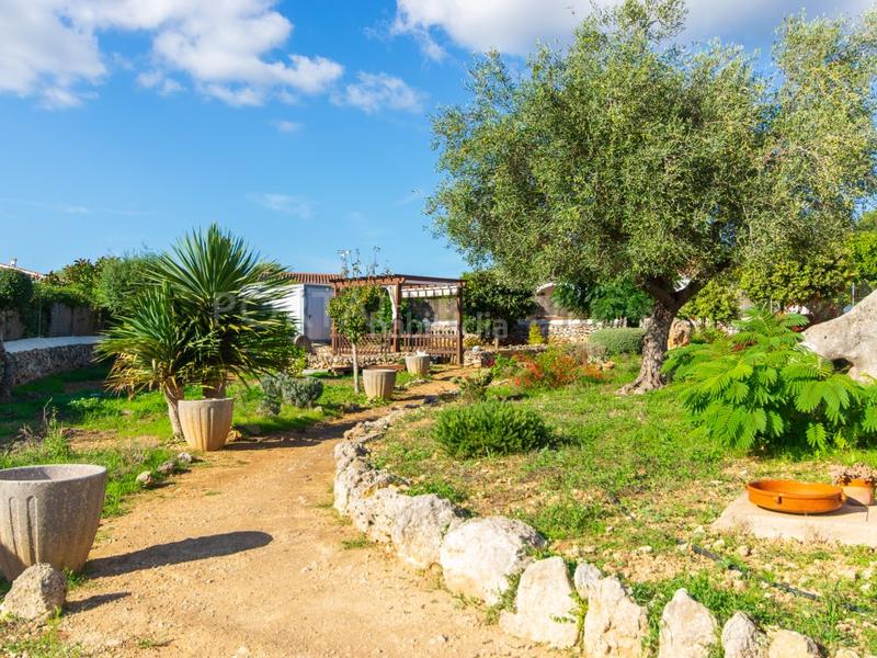 Foto e8fad828-534a-4b3d-9419-1bf4a02e6f7e. Masia amb aparcament piscina a Alaior poble Alaior