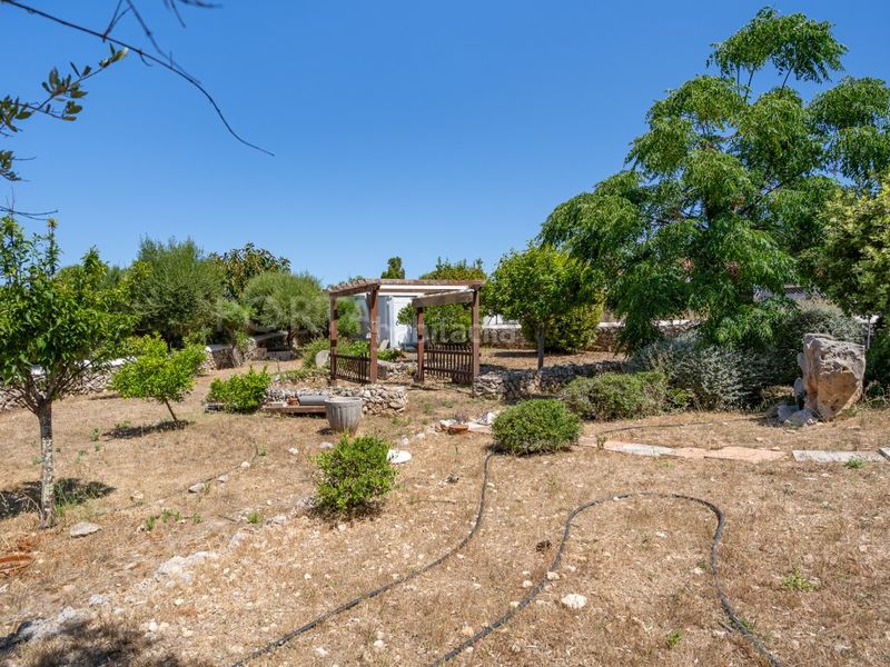 Foto 0ab8ff5f-00c6-49b0-b5f9-cb0fe16bb2e6. Masia amb aparcament piscina a Alaior poble Alaior