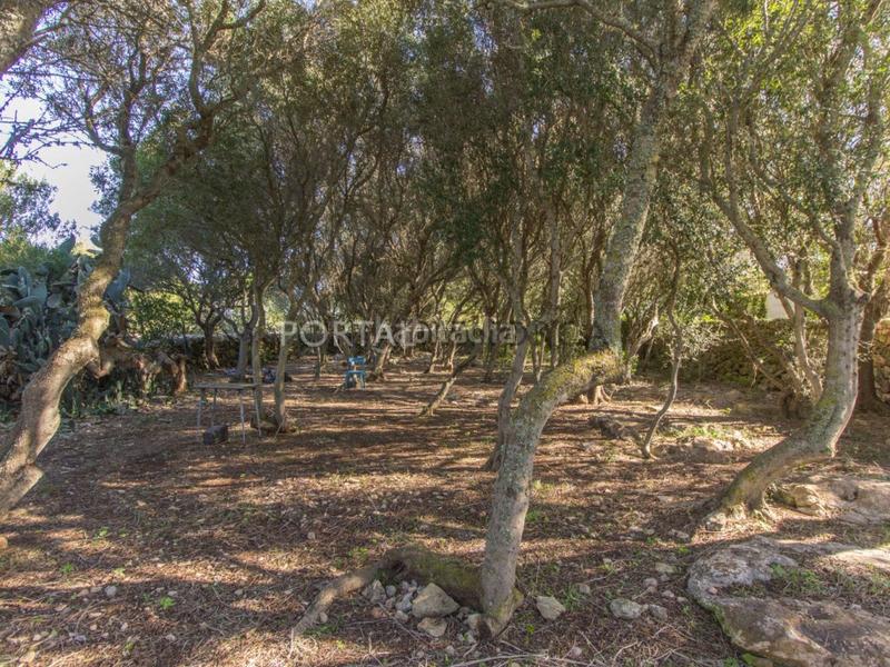 Foto 7d1641f8-a5e1-4170-81ab-d16c287356f5. Mas avec parking dans Sant Lluís-s´ullestrar-torret Sant Lluís