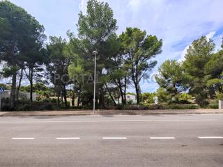 Terreny residencial  N/a. Parcela edificable en venta en son parc