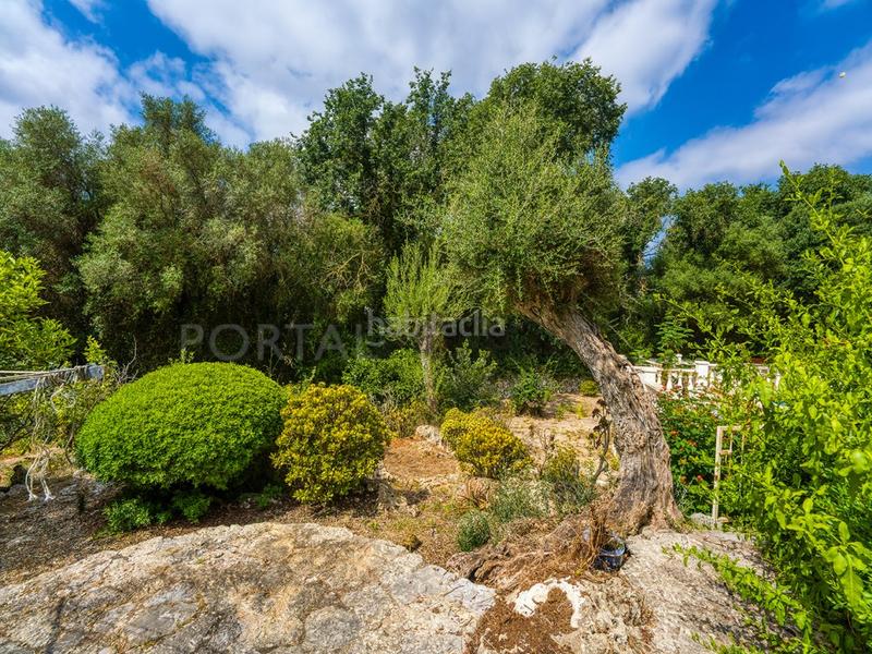 Foto a59994ac-59bc-4081-8754-f7739329c42c. Chalet encantadora villa en una zona residencial tranquila en binixica en Maó