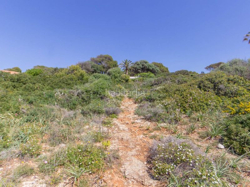 Foto c7255f0d-1bf1-40af-8f21-b91039261d1d. Terreny residencial a Binibèquer Sant Lluís