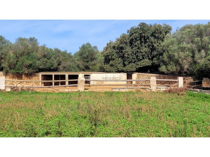 Foto bb880173-993d-4ff3-ac51-b8049a887a9b. Masia a camí de biniatap 30 a Son Vilar-Trepucó Es Castell