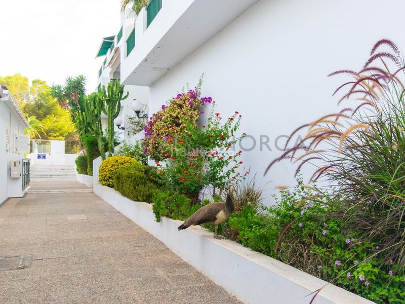 Foto 3dc373d4-fb9b-4bfe-9b76-510b0620b7ba. Apartament amb aparcament piscina a Son Parc Es Mercadal