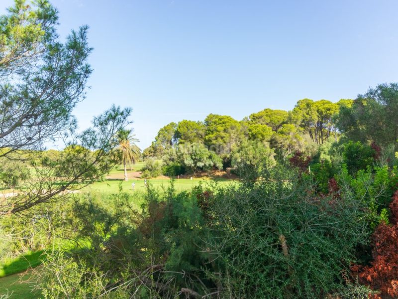 Foto 8dcd1b4b-5e48-4ef1-8d80-54e82bde01d0. Apartament amb aparcament piscina a Son Parc Es Mercadal