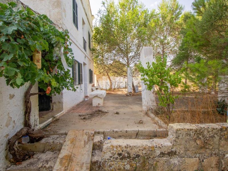 Foto af08a047-0c1c-4411-aaab-14664de83903. Casale in Alaior poble Alaior
