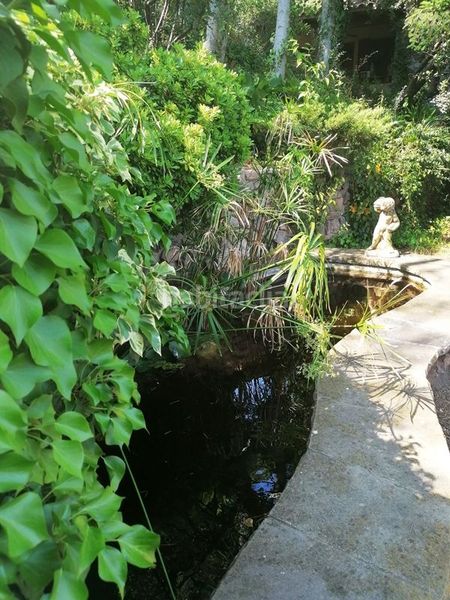 Foto 4da3d021-ef36-45a4-a579-bbc4024bae23. Xalet amb xemeneia calefacció aparcament piscina a Calders